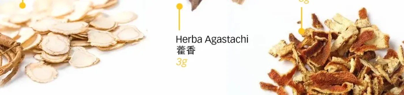 Dried American ginseng, Huo Xiang, and Chen Pi measured for a kitchen steep