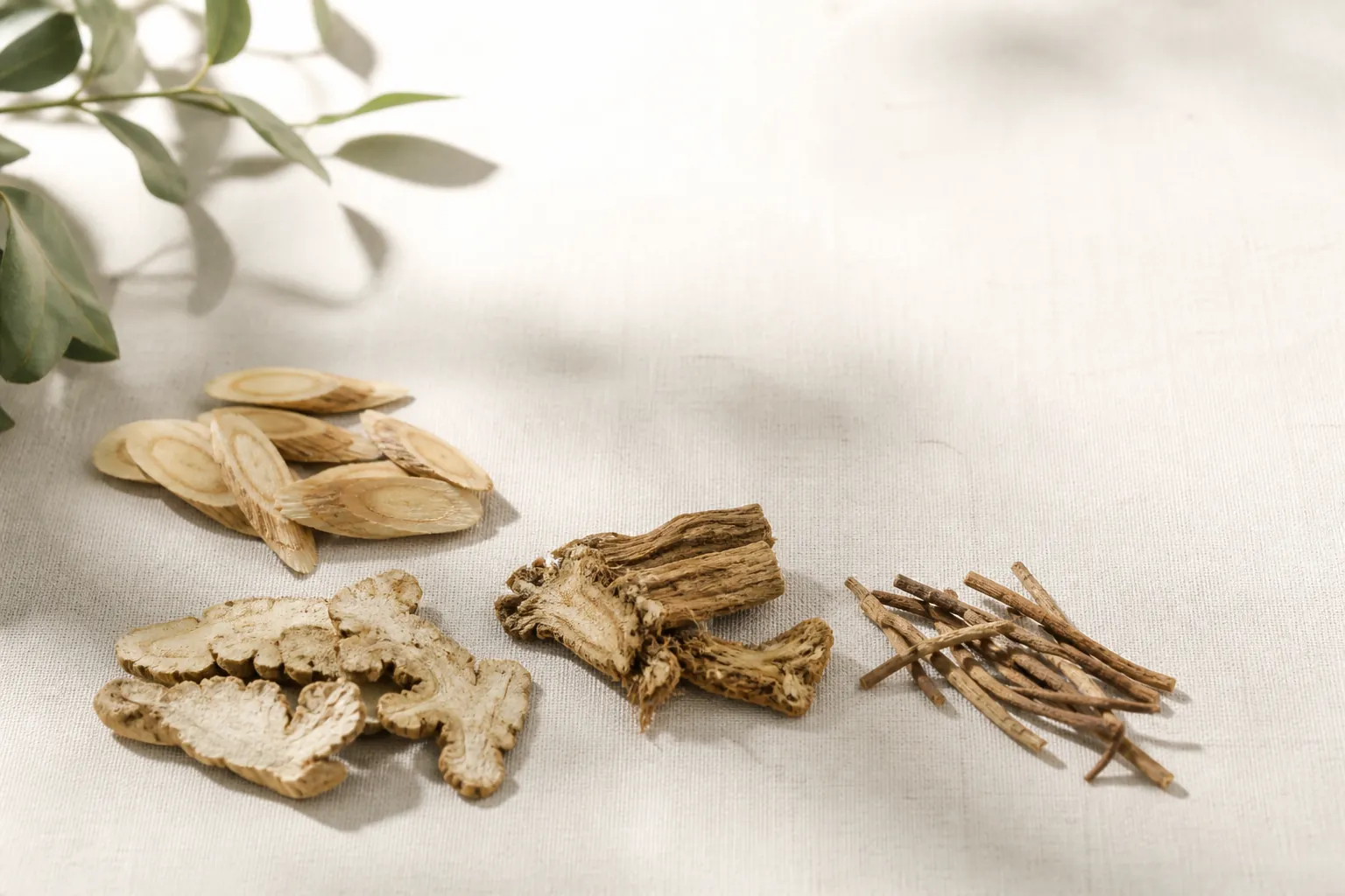 Dried Huang Qi, Bai Zhu, Fang Feng, and Chai Hu for Immunity Booster Tea at PULSE TCM