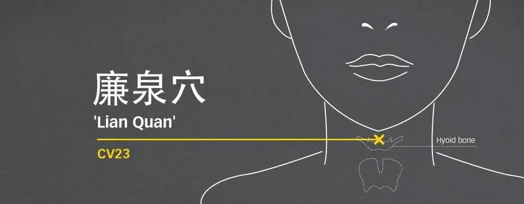 Line diagram locating Lian Quan CV23 above the hyoid bone on the neck