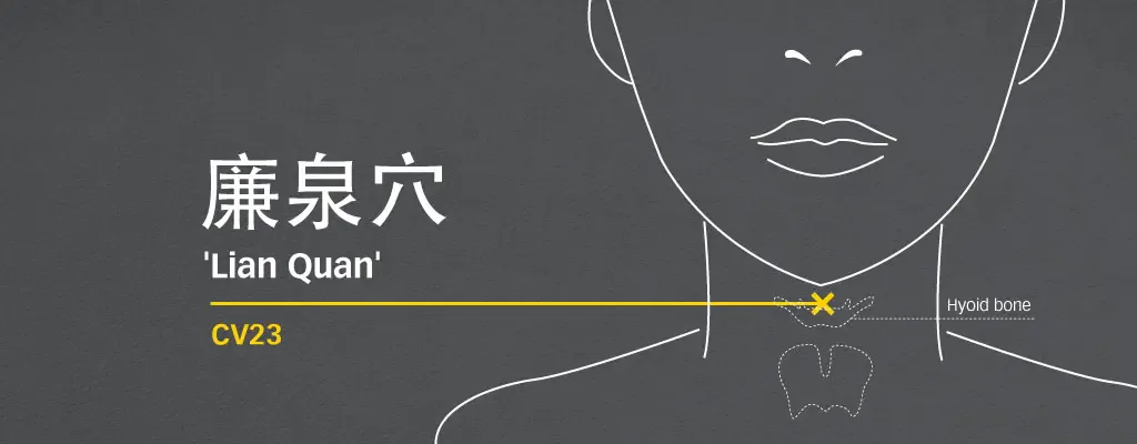 Line diagram locating Lian Quan CV23 above the hyoid bone