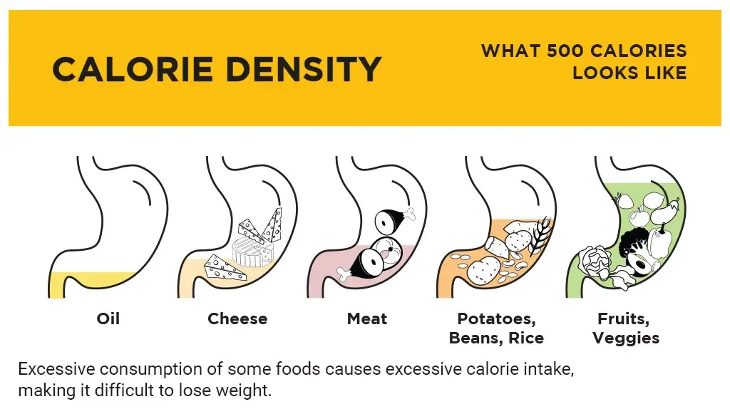 Diagram comparing stomach volume for about 500 calories across oil, cheese, meat, staples, and fruit and vegetables