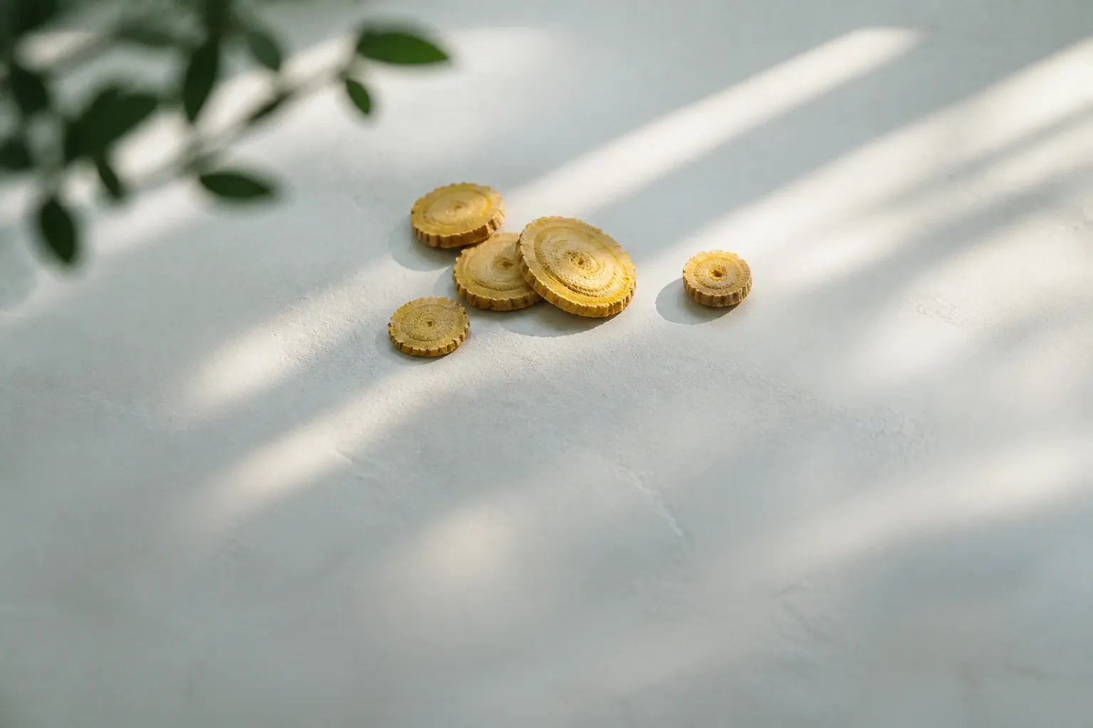 Huang Qin root slices for TCM cancer care at PULSE TCM