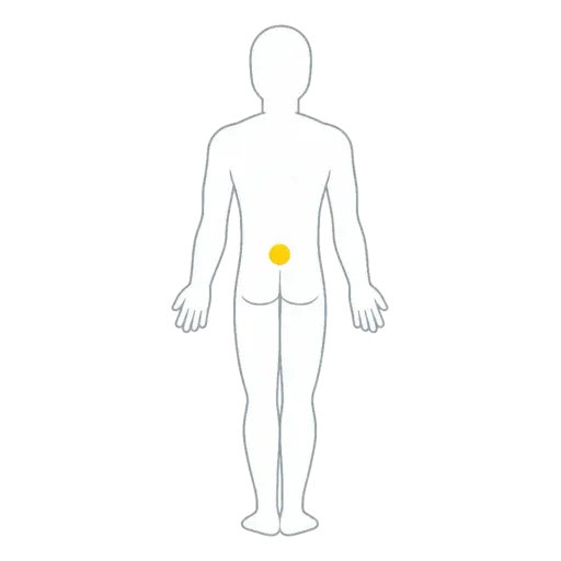 Diagram of the low-back zone for lower back pain