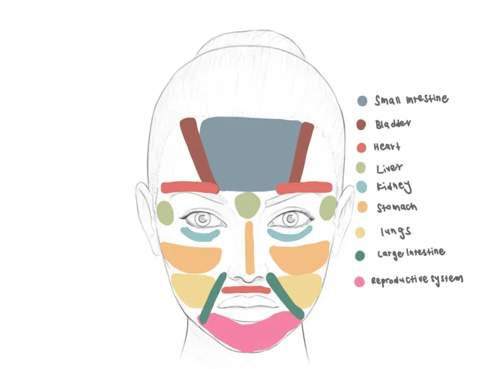 TCM face map linking facial zones to organ patterns for acne