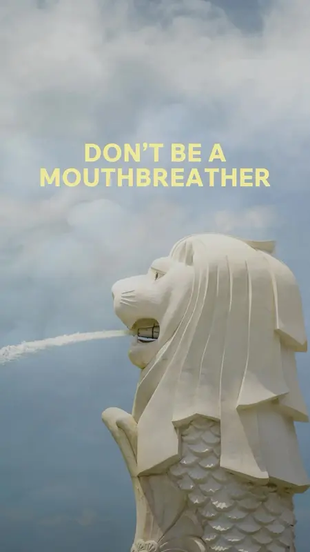 🚨 DON’T BE A MOUTH BREATHER 🚨 Singapore’s PM2.5 reading has hit 288 today— putting us well into the Very Unhealthy zone 