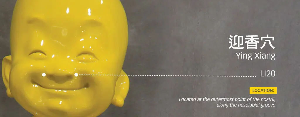 Blog-Sinus-4-Ying-Xiang