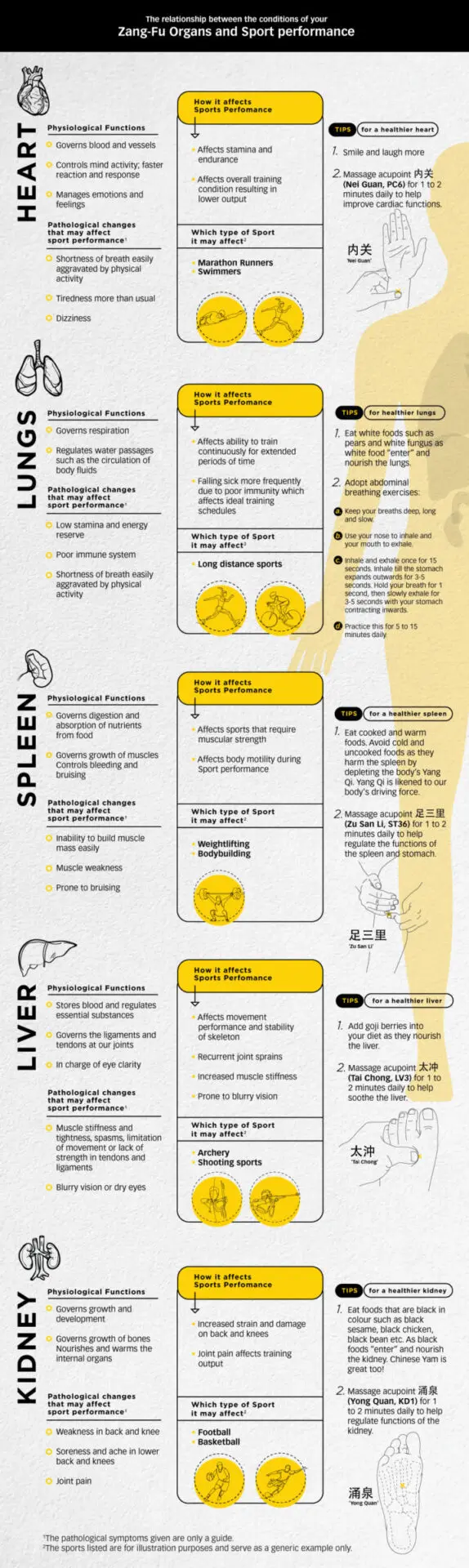 ZangFu-Sports-Performance-2020-Infographic