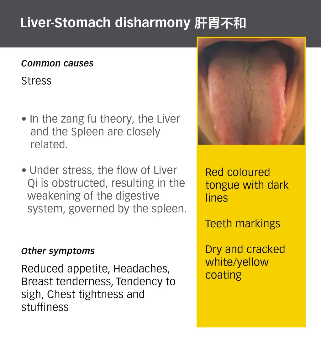 Common Digestive Issues How TCM can help? PULSE TCM