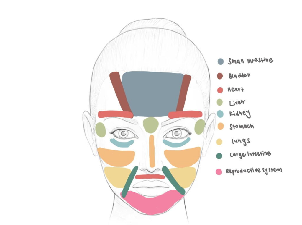 TCM Face mapping for Acne