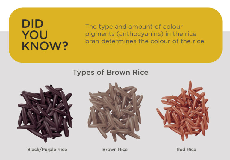 Types of Rice – PULSE TCM
